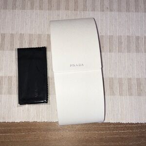 Prada Sunglass case, oversized